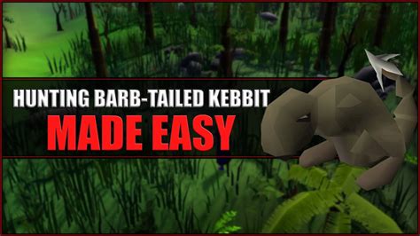 Quick Guide to Hunting Barb Tailed Kebbit in OSRS .